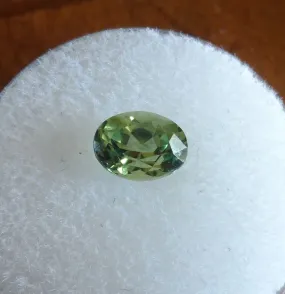 1.50 cts. RARE, OLIVE GREEN COLOR MONTANA SAPPHIRE