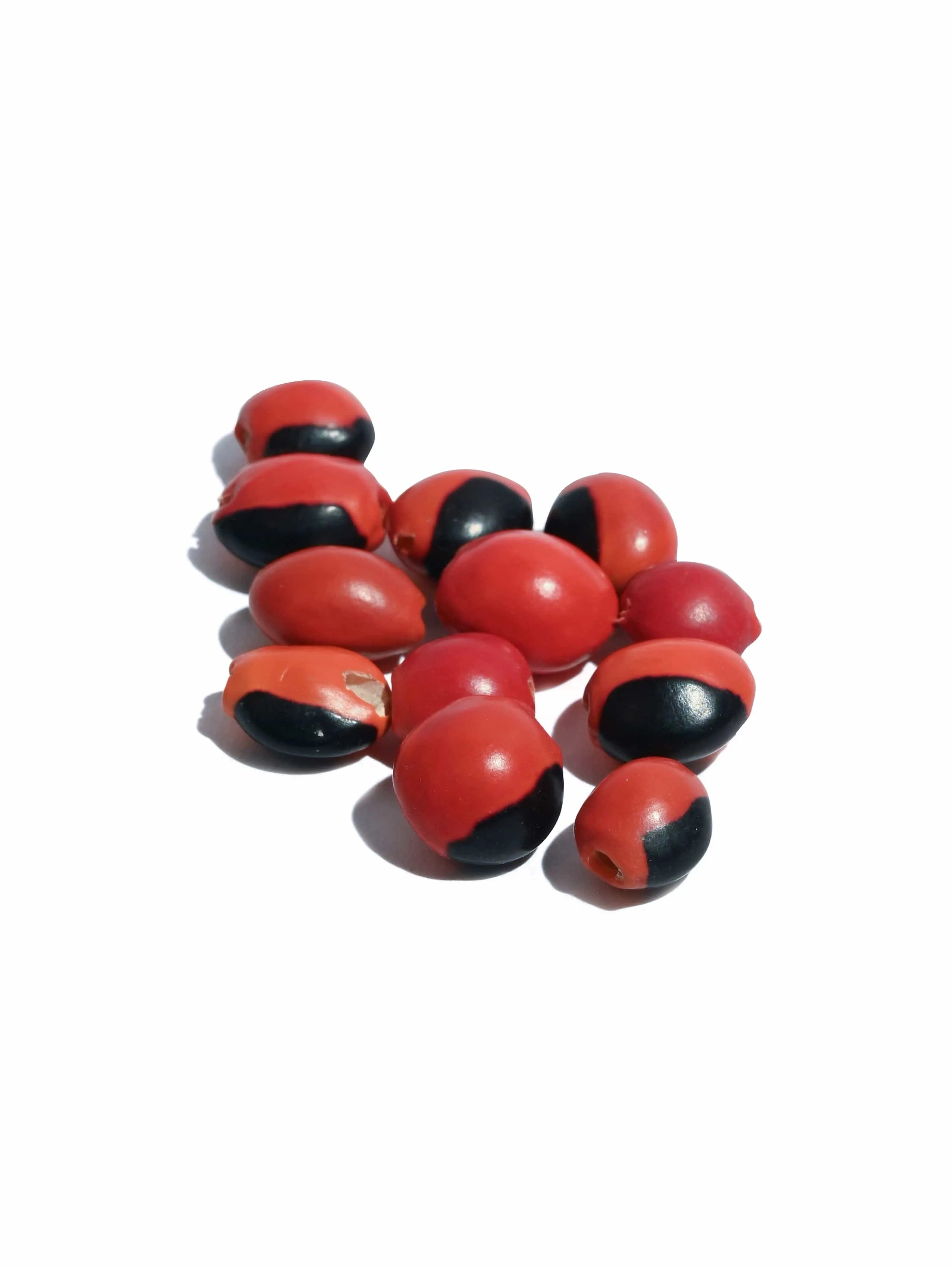 Huayruro Beads - Male